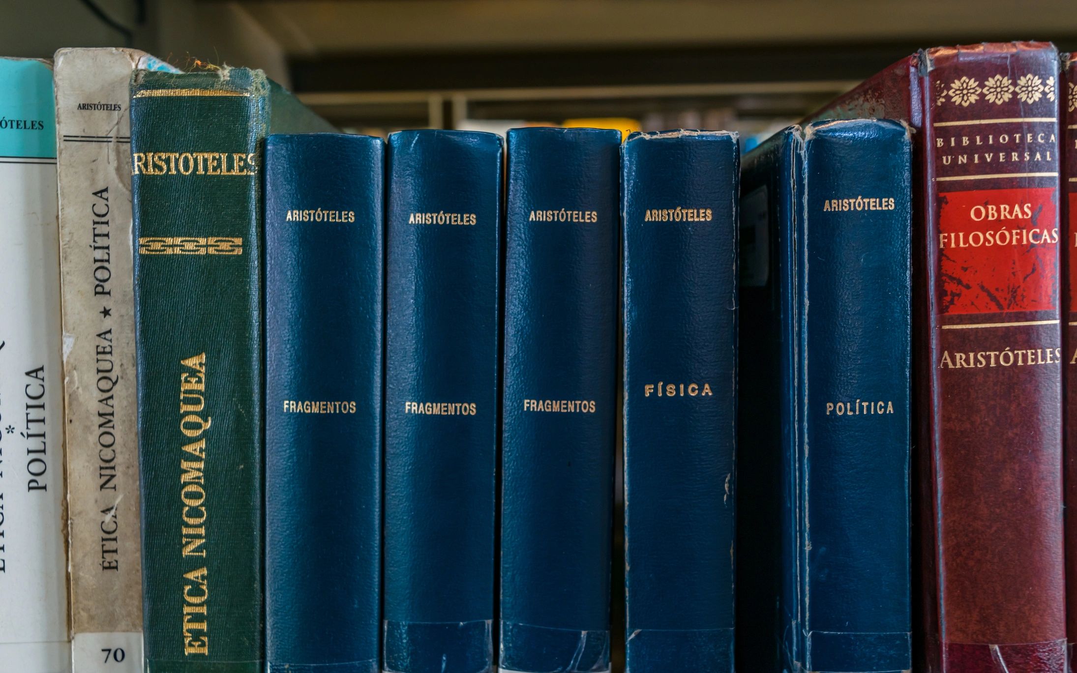 Books on library shelves